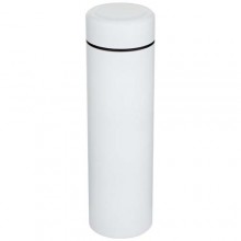  Taylor 450 ml Doppelwand Isolierflasche aus Edelstahl mit Teesieb