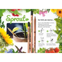 Sprout Farbstifte