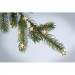 Lichterstrang mit 20 LEDs