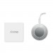Ornament mit Band, rund