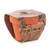 Terracotta-Topf Vergissmeinnich