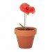 Terracotta-Topf Mohnblume