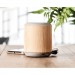 5.3 Wireless Lautsprecher