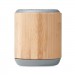 5.3 Wireless Lautsprecher
