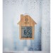 Thermometer