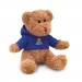 Teddybär mit Hoody