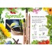 Sprout Farbstifte