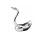 swan