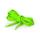 gruenfluor
